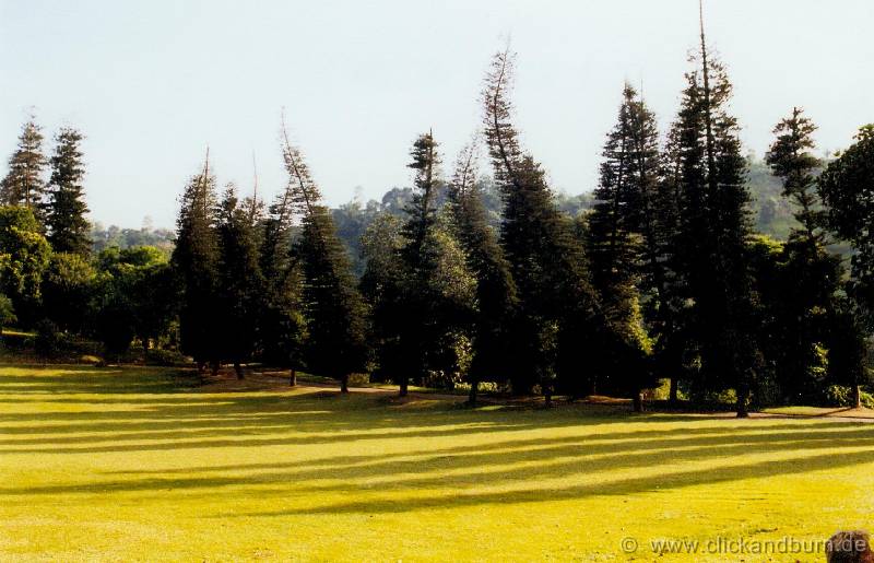 Botanischer Garten 5 